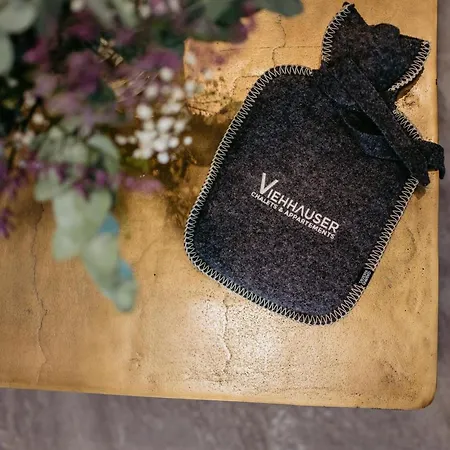 아파트 Viehhauser *