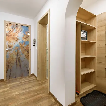 Viehhauser Apartment Kleinarl